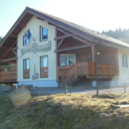 Chalet Du Bucheron Lägenhet Gérardmer Exteriör bild
